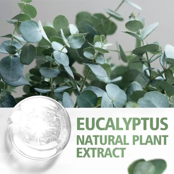 Eucalyptus Plant Essential Oil For Facial And Body Skincare, Moisturizing - Picture 2 of 3